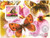 Butterflies & Orchids on Stamps ST4D34