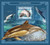 Chad - 2017 Dolphins on Stamps - Stamp Souvenir Sheet - TCH17404b