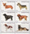 Dogs On Stamps - Sheet of 6 20C-008
