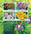 Withdrew 02-24-19-Togo - 2015 Orchids on Stamps - 4 Stamp Sheet - 20H-1123