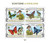Burundi - 2013 Scouts & Butterflies - 4 Stamp Sheet - BUR13203a