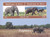 Benin - 2017 Elephants - 2 Stamp Souvenir Sheet - 2B-317