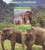 Mali - 2018 Thai Elephants - Stamp Souvenir Sheet - 13H-464