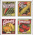 US Stamp - 2015 Summer Harvest - Block of 4 Forever Stamps - Scott #5004-7 