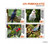 Togo - 2020 Parrots, Long-billed Corella, Lorikeet - 4 Stamp Sheet - TG200254a
