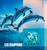Djibouti - 2023 Short-beaked Common Dolphin - Stamp Souvenir Sheet - DJB230207b2