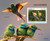 Central Africa - 2023 European Bee-eaters - Stamp Souvenir Sheet - CA230115b