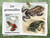 Central Africa - 2022 Wood Frogs - Stamp Souvenir Sheet - CA220820b