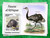 Central Africa - 2022 African Fauna, Hippo - Stamp Souvenir Sheet - CA220802b