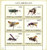 Comoros - Insects, Bees, Wasps - Mint Sheet of 6 Stamps MNH - 3E-061