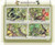 St Thomas - Butterflies & Maggots 4 Stamp Sheet ST9205a