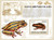 Comoros Islands - Frogs - Mint Souvenir Sheet 3E-108
