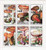 Mushrooms on Stamps - 6 Stamp Mint Sheet MNH - 9B-016