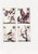 Birds - Mint Sheet of 4 MNH - 11B-019