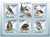 St Thomas - Raptor Birds - 5 Stamp Mint Sheet - ST9610a