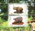 African Animals - Mint Sheet of 2 MNH - 13K-062