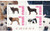 Burundi - Dogs - 4 Stamp Mint Sheet MNH - 2J-088