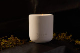 DEHV Candle Co 11oz (Minimum Order of 4) - (drop ship)
