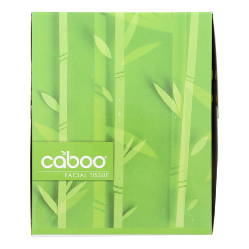 Caboo - Facial Tis Cube 60ct 3ply - Case Of 12-1 Count