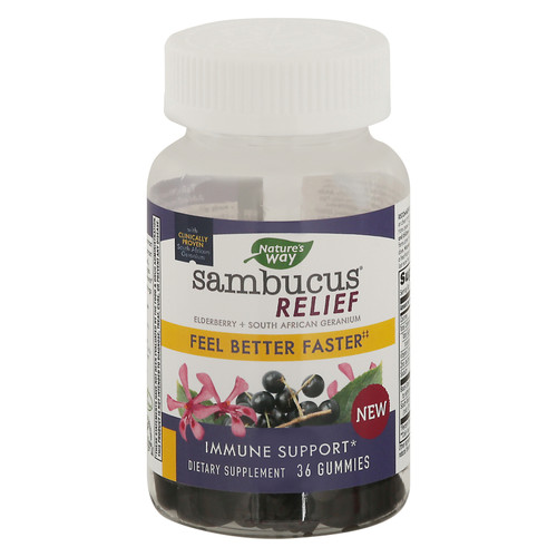 Nature's Way - Sambucus Adult Gummy - 1 Each-36 Ct