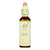 Bach Flower Remedies Essence Olive - 0.7 Fl Oz