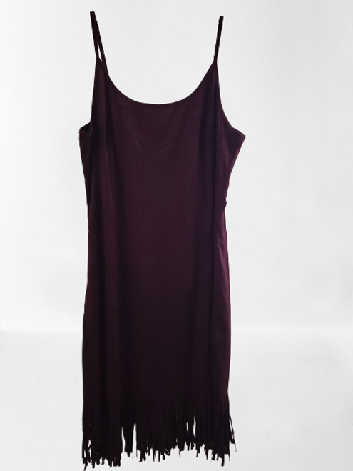 Wine Fringe Mini Dress