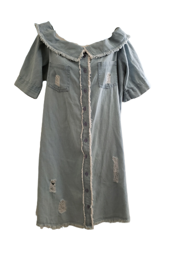 Blue Jean Fray Button Down