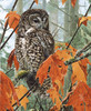Autumn Leaves_0