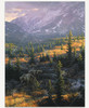 Big Country_1