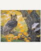 Autumn Owl_1