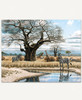Watering Hole_1