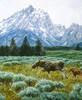 Summer In The Tetons_0