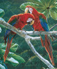 Rainforest Reds_0