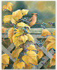 Waxwing Poetic_0