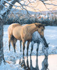 Reflections_0