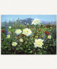 Autumn Roses_1