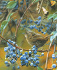 Trace Of Blue_0