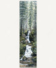 Cascade Wolves_1