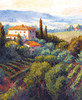 Vineyard Views