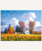 October Skies_1