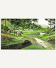 Anywhere On The Green_1