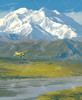 Denali Summer_0
