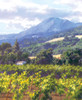 Song Of The Wine Country_0