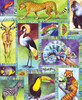Animal Diversity_0