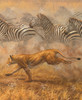 The Great Race_0