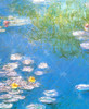 Waterlilies_0