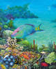 Abundance Reef_0