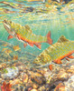 Close up of River Light wooden jigsaw puzzle, where two brook trout enjoy the sunlight shining down on them. One fish floats just above the rocks on the streambed, as the other fish spots a fishing lure and swims up towards it.