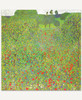 Poppy Meadow_1