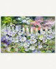 Daisy Garden_1